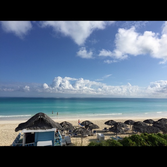 Meet your Posher, Celine - Picture 1 of 1